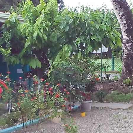 Cabinas Surf Side Cahuita Luaran gambar